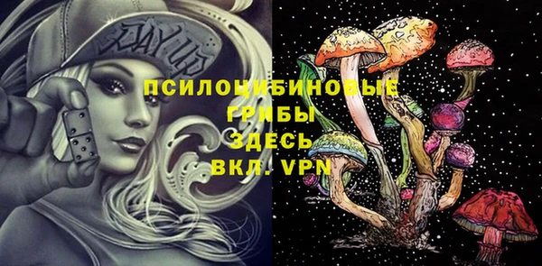 2c-b Армянск