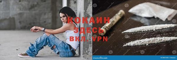 Альфа ПВП Аркадак