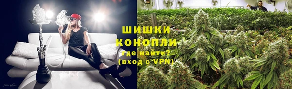 Альфа ПВП Аркадак